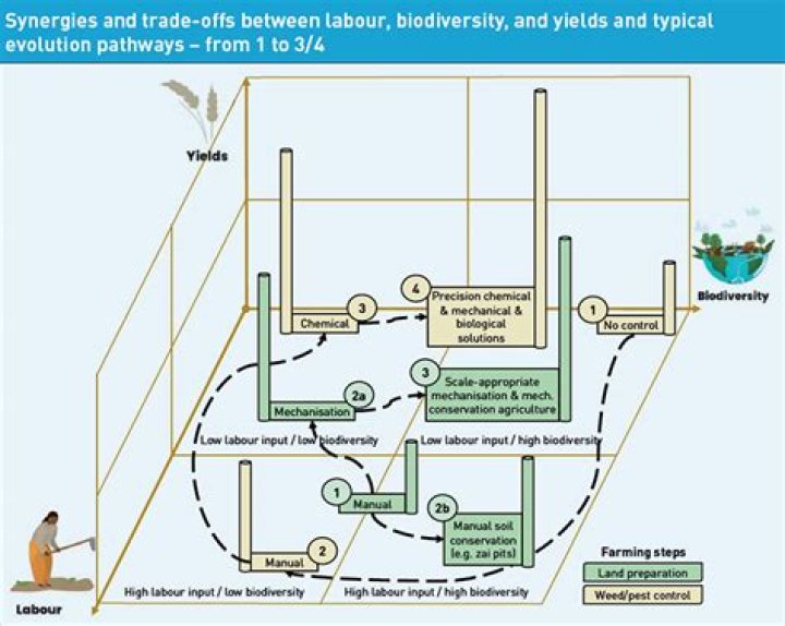 What is the role of Labour in agricultural production?
