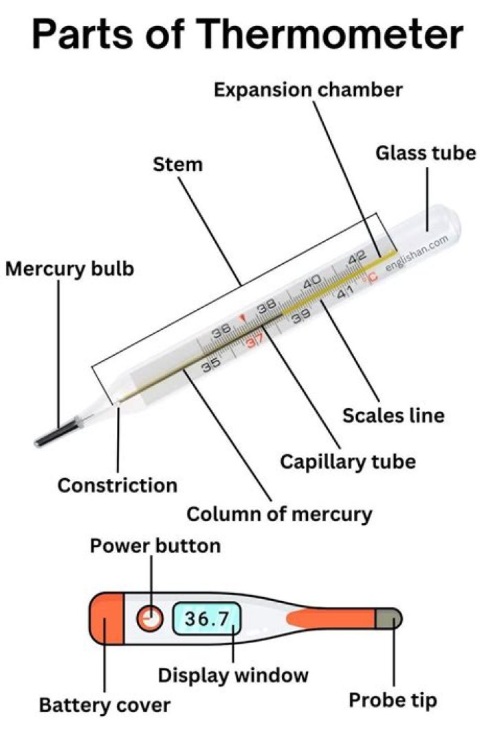 What is the silver stuff in thermometer called?