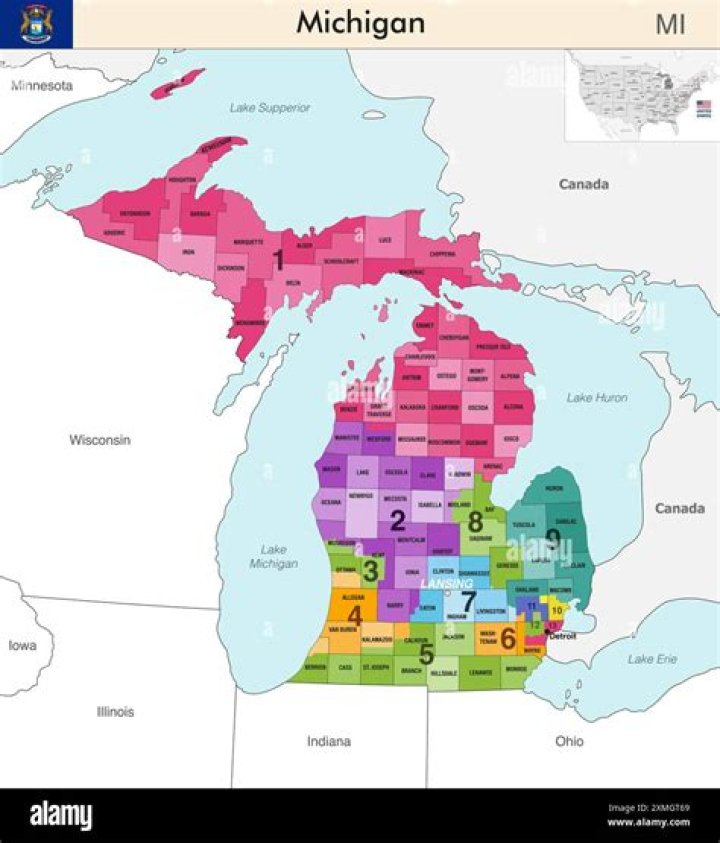 What is the state of Michigan tax ID number?