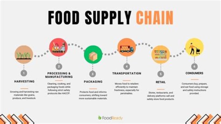 What is the supply chain in food industry?