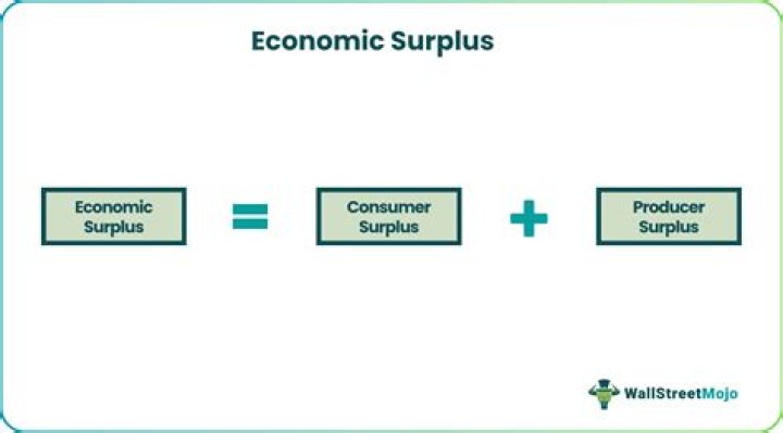 What is the surplus of income?