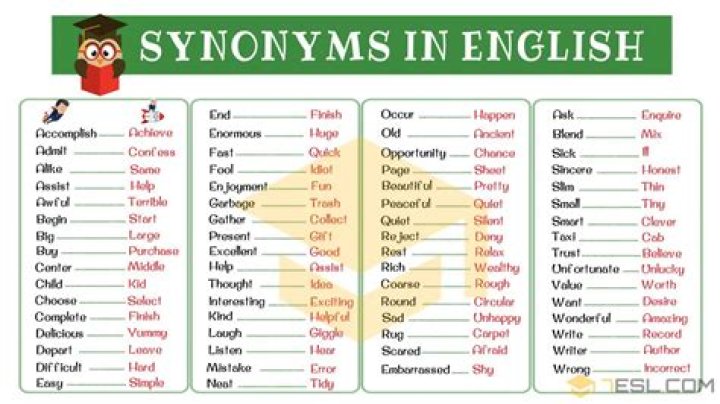 What is the synonym of search?