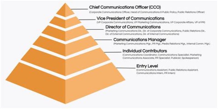 What is the titles for executive?