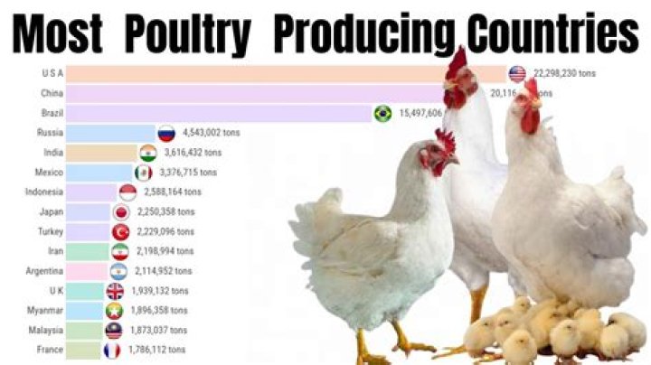 What is the top poultry processing company?