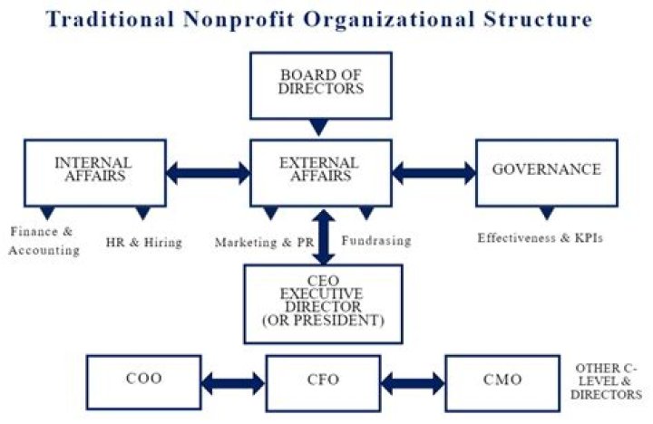 What is the work of non profit Organisation?