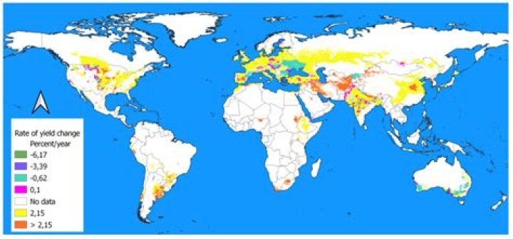 What is the world food production?