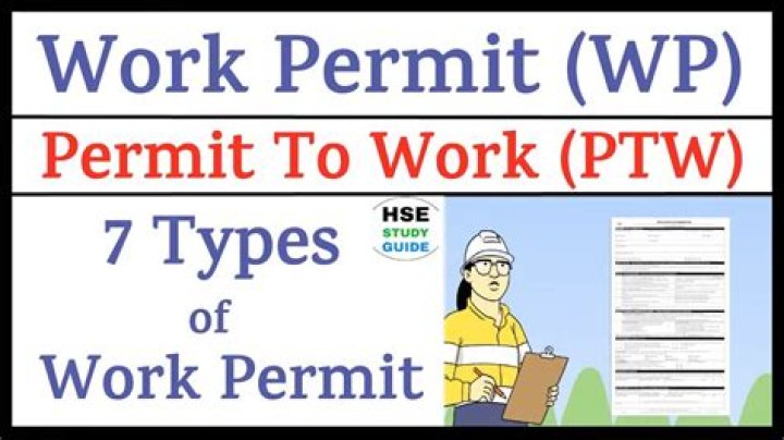What is type of work permit?