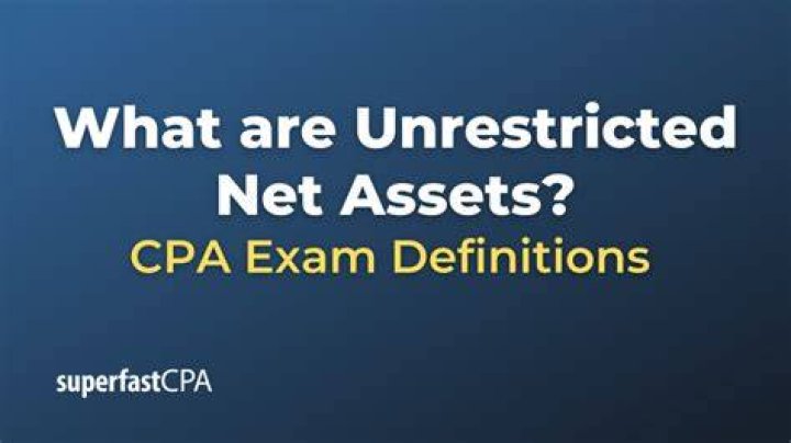 What is unrestricted net asset?