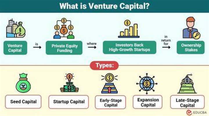 What is venture capital example?