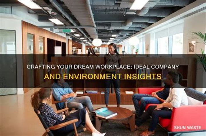 What is your ideal company?