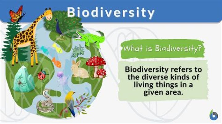 What is your understanding of the term biodiversity?