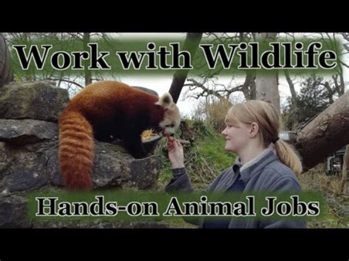 What jobs allow you to work with wild animals?