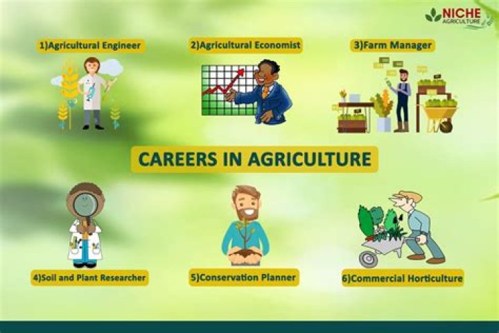 What jobs does agriculture provide?