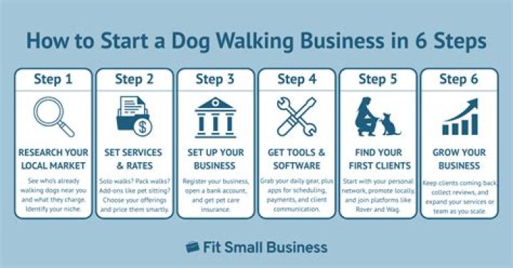 What kind of insurance do I need to start a dog walking business?