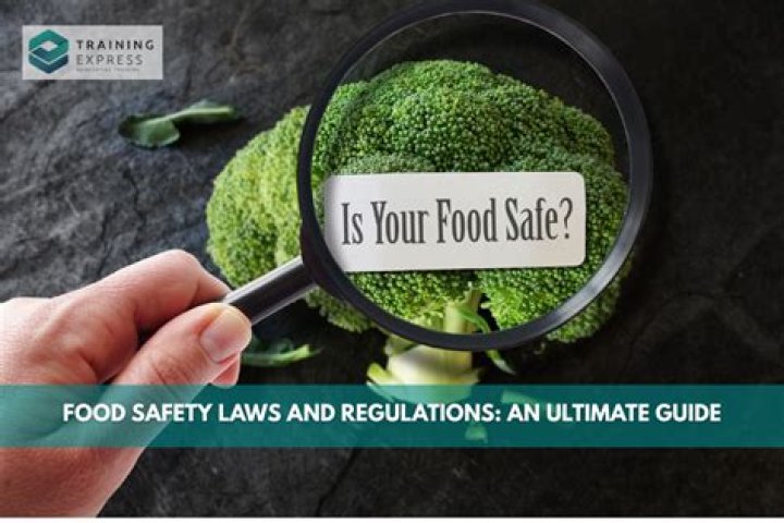 What level of government writes the food safety regulation?