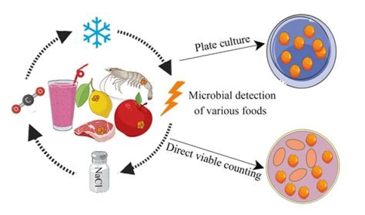 What microorganism is used to produce leather goods?