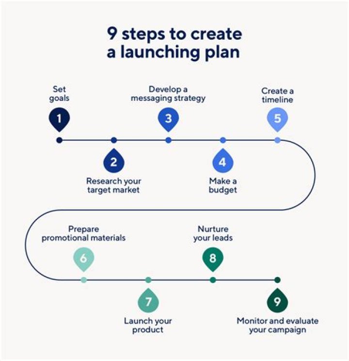 What must you check before launching e business?