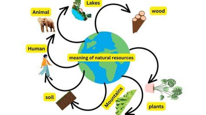 What natural resources does America import?