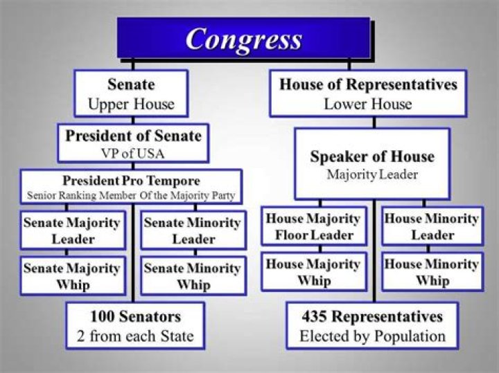 What Organisational and legislative requirements will you need to consider?