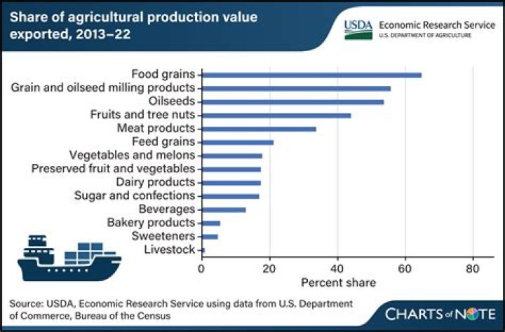 What percent of US goods are exported?