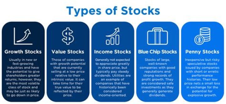 What percentage are individual stocks?