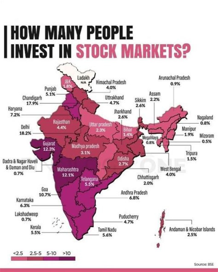What percentage of people invest in stock market India?
