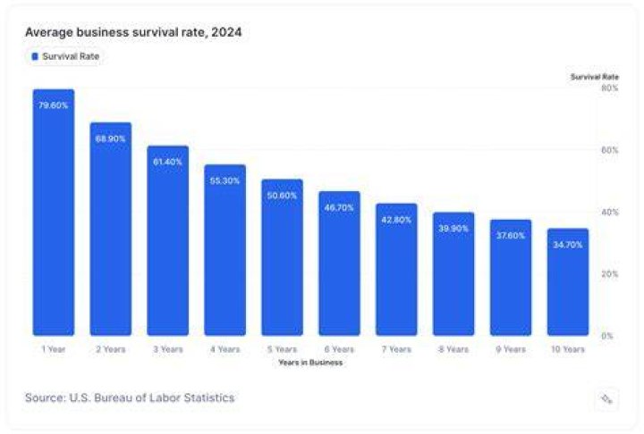 What percentage of small businesses survive the first two years?