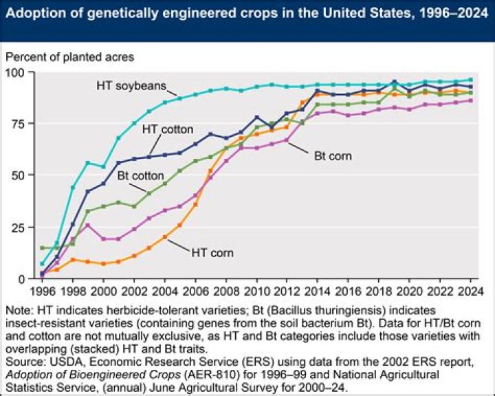 What percentage of US economy was cotton?