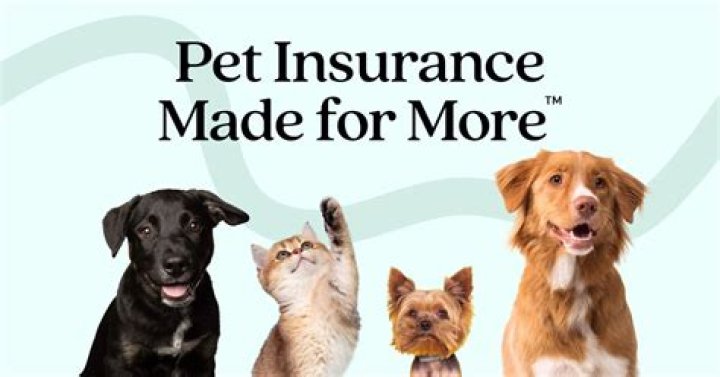What Pet Insurance do most vets recommend?