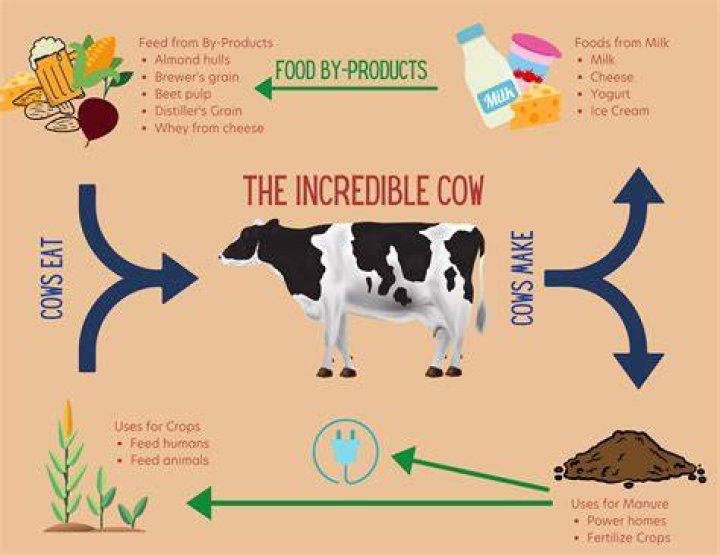 What products does Monaco produce?