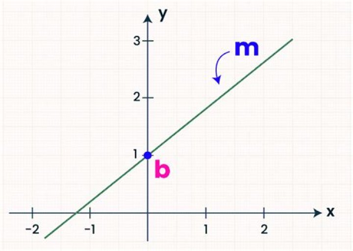 What profession uses Y MX B?