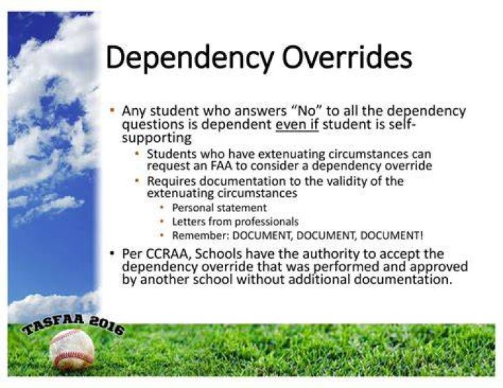 What qualifies as a dependency override?