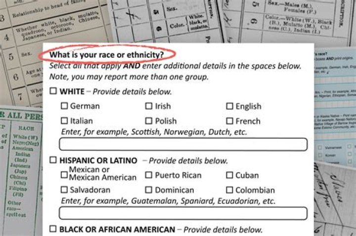 What race are you if you are from El Salvador?