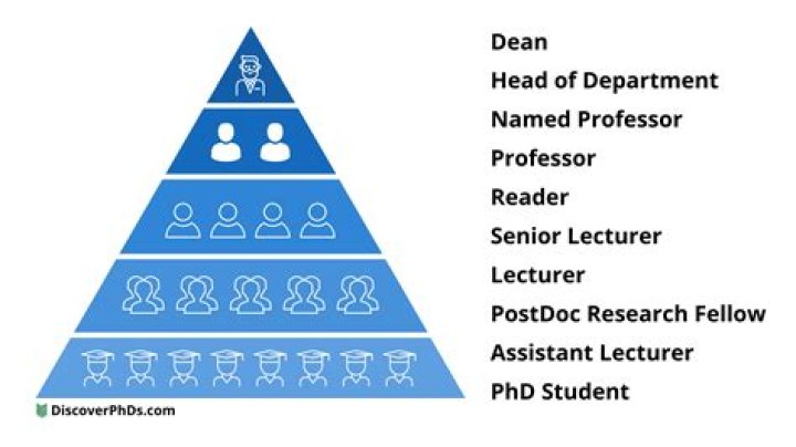 What rank is higher than professor?