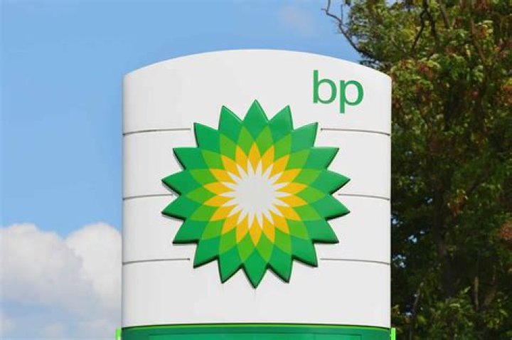 What sector is BP?