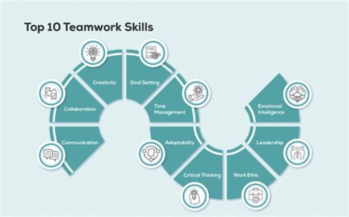 What skills and expertise will you bring to the Organisation?