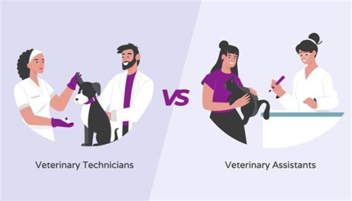 What specific tasks will a vet involve?
