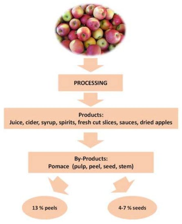 What state leads the production of apples?