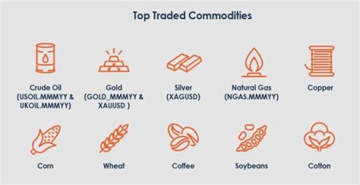 What steps must be considered to export the commodity to other countries?