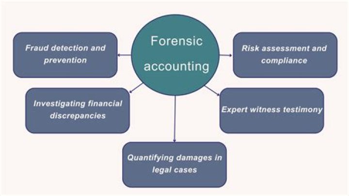 What technology do forensic accountants use?