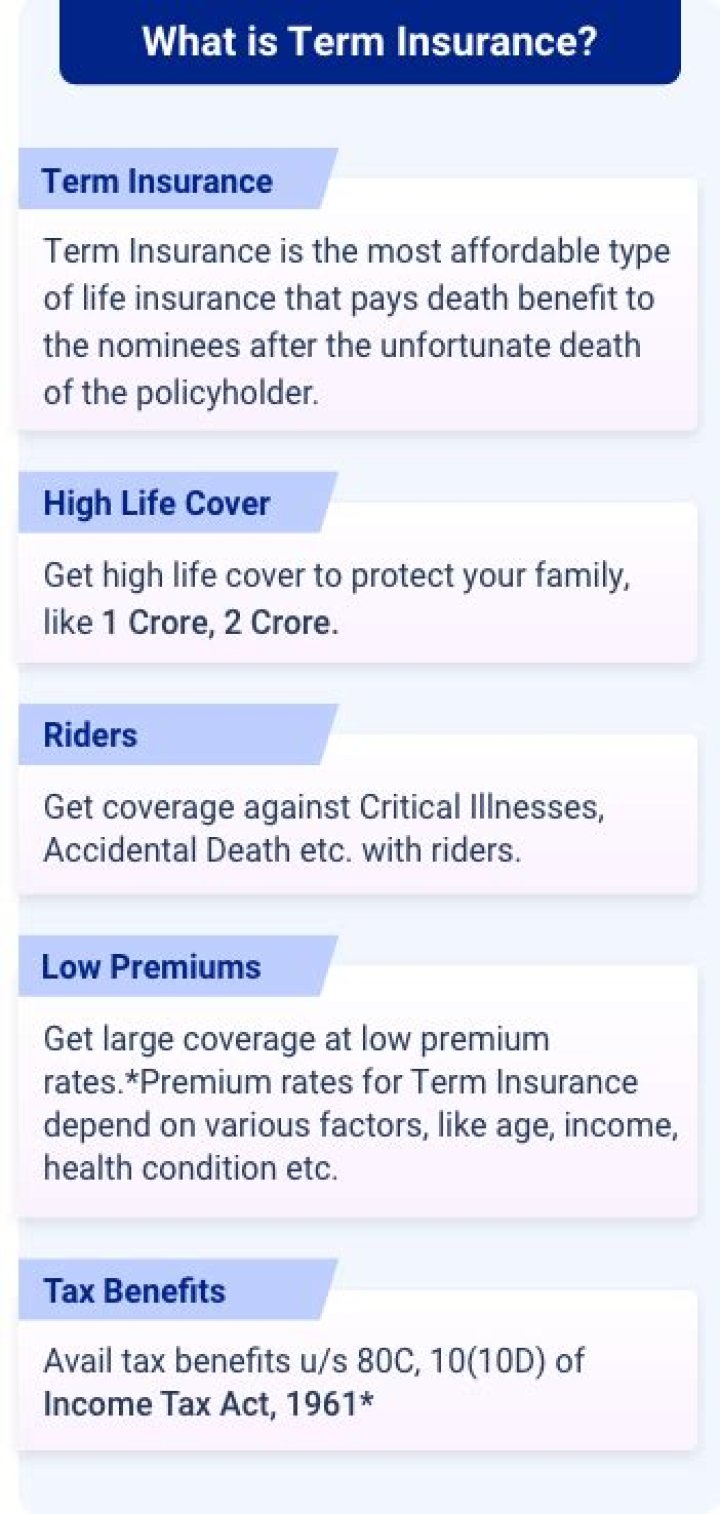 What term insurance means?