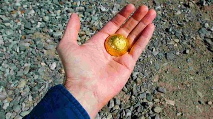 What tools did you need to find gold?