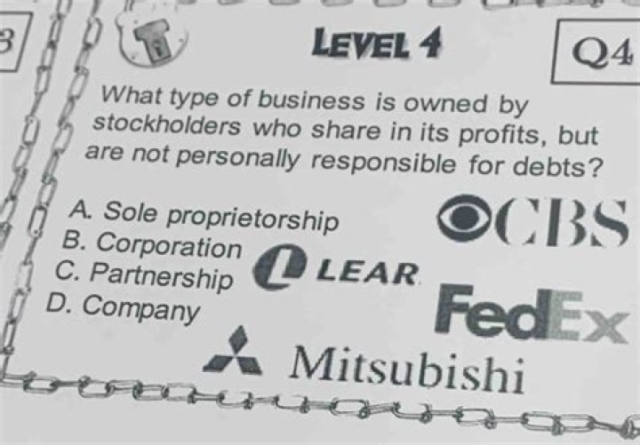 What type of business is owned by stockholders?