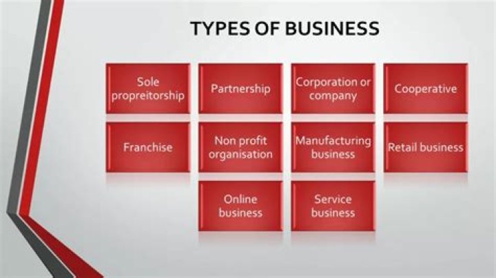 What type of business is the NBA?