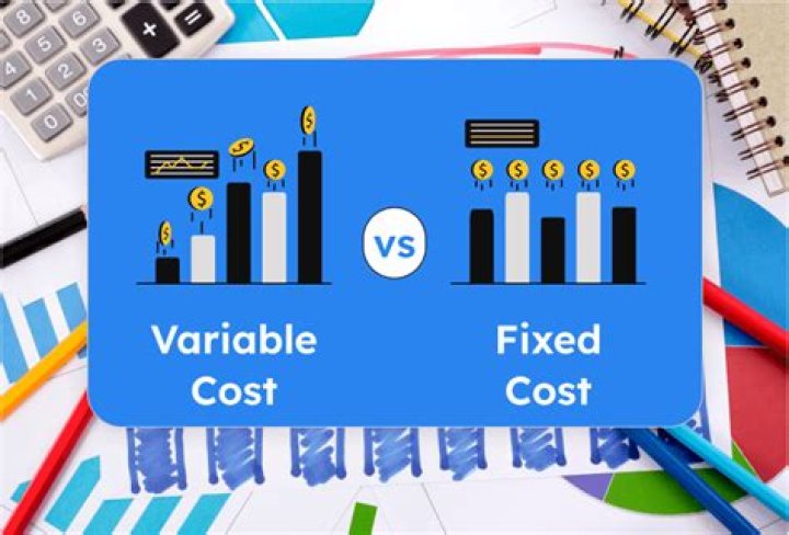 What type of companies have high fixed costs?