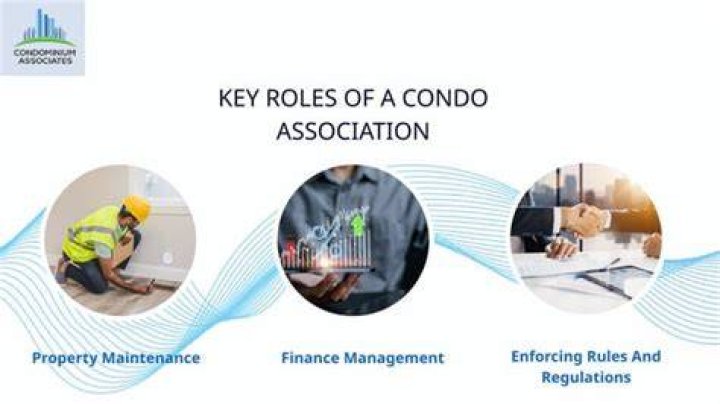 What type of entity is a condo association?
