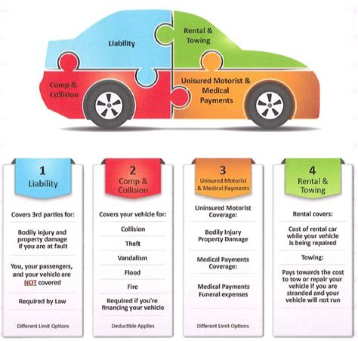 What type of insurance provides coverage for damage caused by a collision with another auto or immovable object?