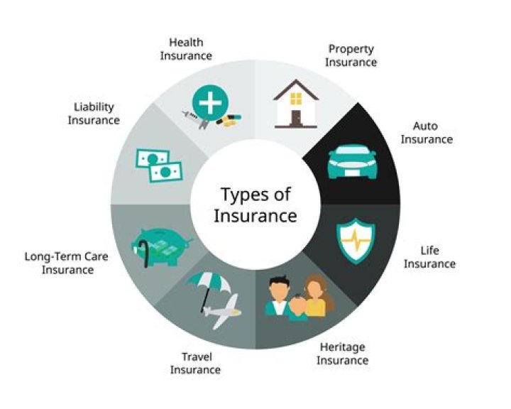 What type of insurance replaces income for injury or illness?