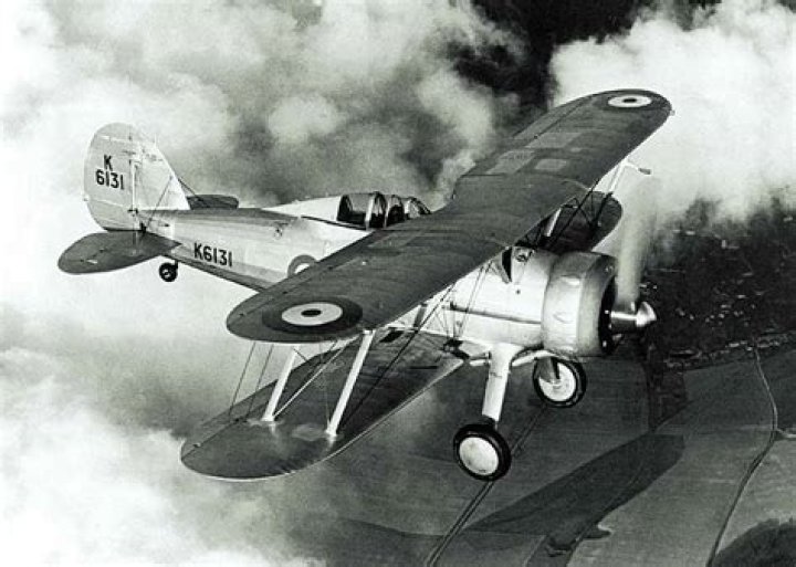 What type of plane did Roald Dahl fly?