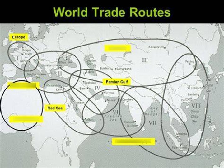 What types of goods were carried along the trade routes?